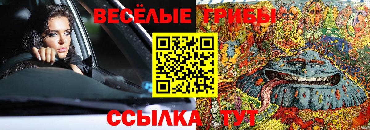 Псилоцибиновые грибы MAGIC MUSHROOMS Миллерово